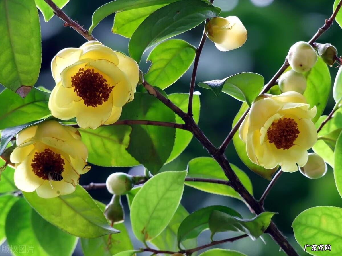 客厅采光不好影响风水 入户花园采光不好影响风水吗视频