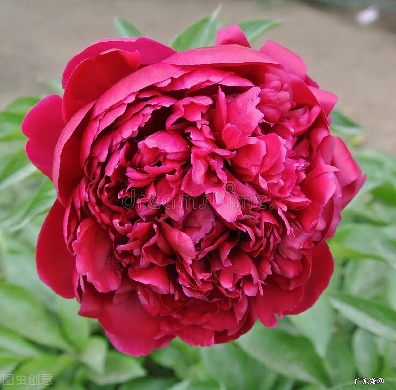 客厅采光不好影响风水 入户花园采光不好影响风水吗视频