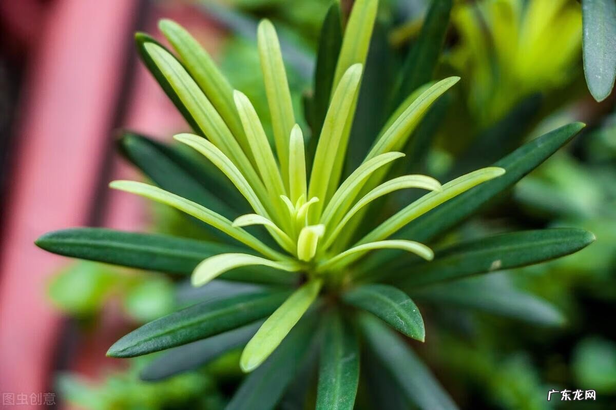 客厅采光不好影响风水 入户花园采光不好影响风水吗视频