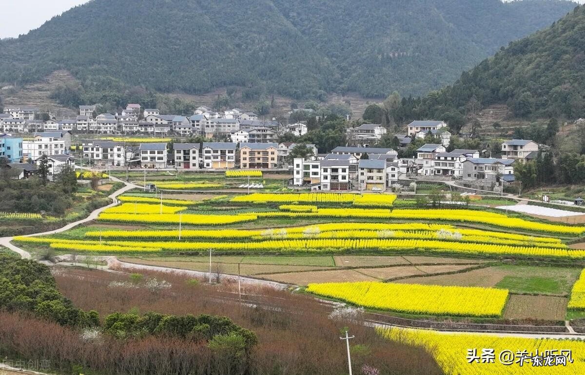 一楼风水最好 三幢楼风水好不好呀