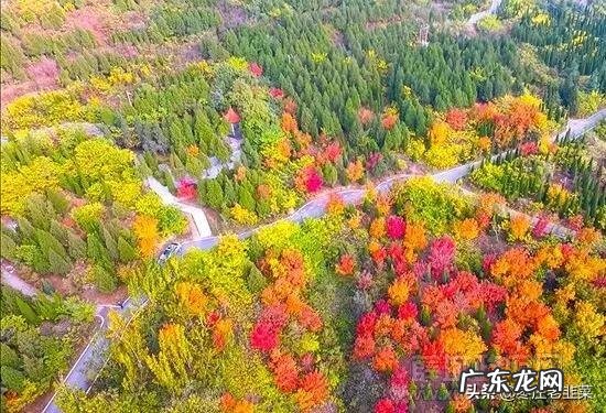 薛城看风水 薛城风水大师