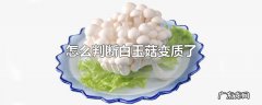 怎么判断白玉菇变质了