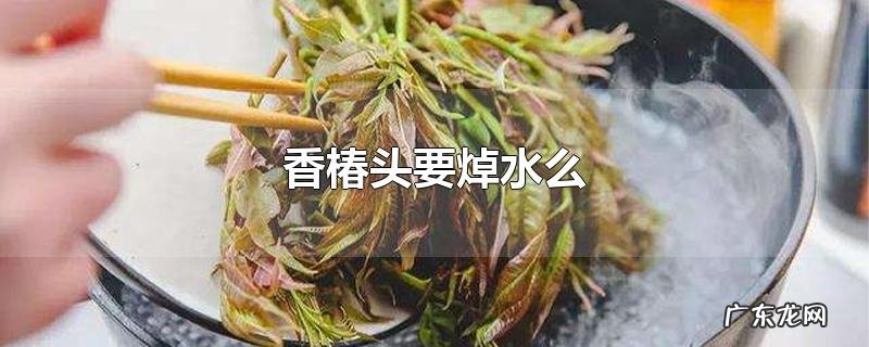 香椿头要焯水么
