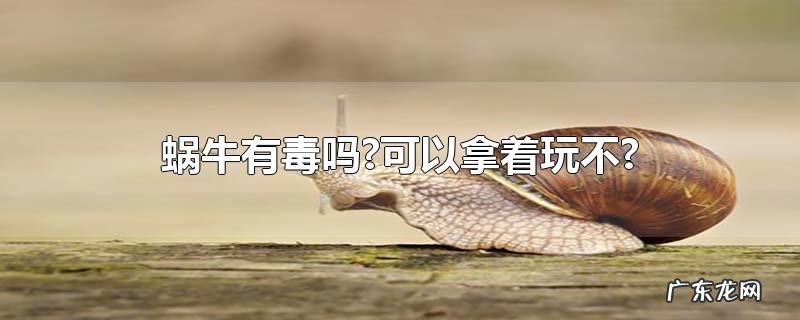 蜗牛有毒吗?可以拿着玩不?