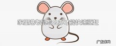 家里进老鼠怎么办才能快速驱赶