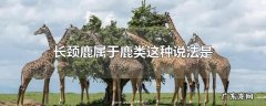 长颈鹿属于鹿类这种说法是