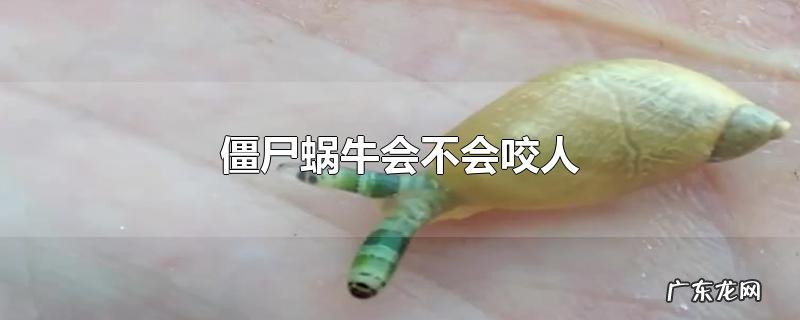 僵尸蜗牛会不会咬人