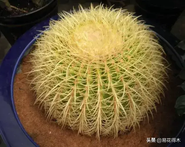 旧路由器坏了换新的怎么设置 风水球坏了旧了能换新的吗?