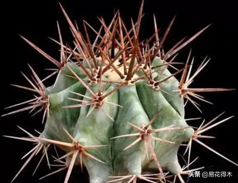 旧路由器坏了换新的怎么设置 风水球坏了旧了能换新的吗?