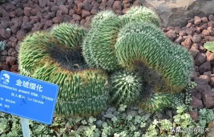 旧路由器坏了换新的怎么设置 风水球坏了旧了能换新的吗?