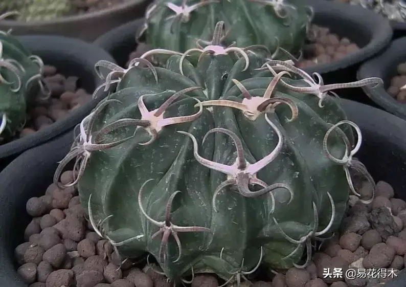旧路由器坏了换新的怎么设置 风水球坏了旧了能换新的吗?
