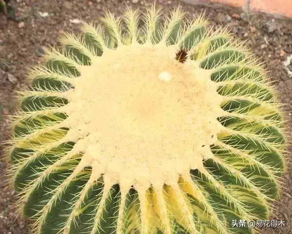 旧路由器坏了换新的怎么设置 风水球坏了旧了能换新的吗?