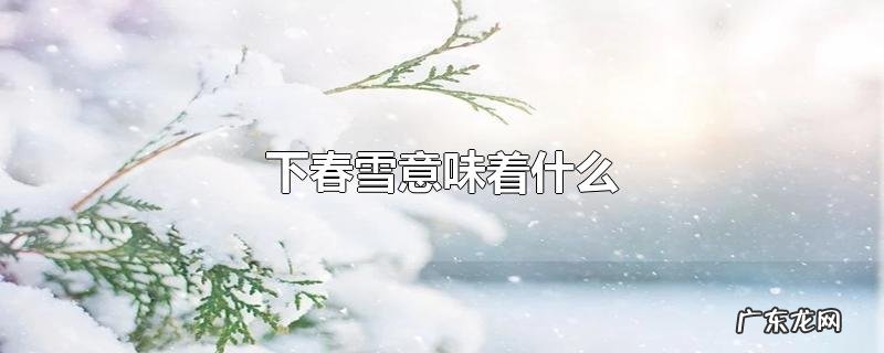 下春雪意味着什么