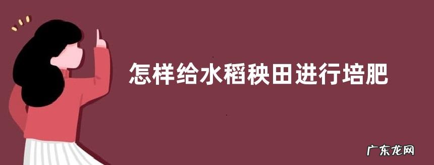 怎样给水稻秧田进行培肥,怎样调整营养土的结构