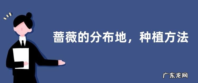 蔷薇的分布地，种植方法及注意事项有哪些