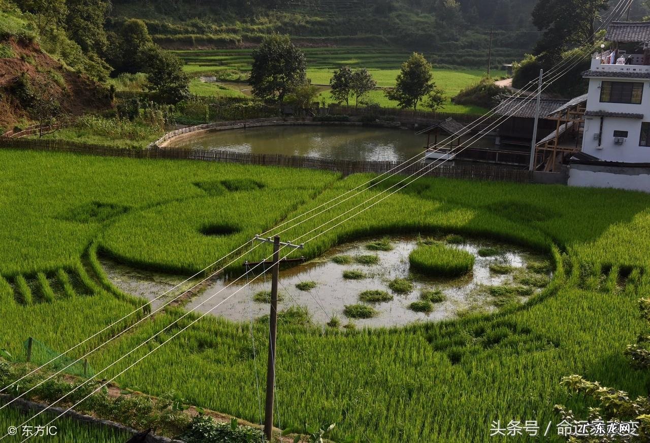 0到10数字风水学各代表什么 风水学中六个0是什么含义啊