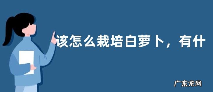 该怎么栽培白萝卜,有什么技术,怎么样高效种植白萝卜
