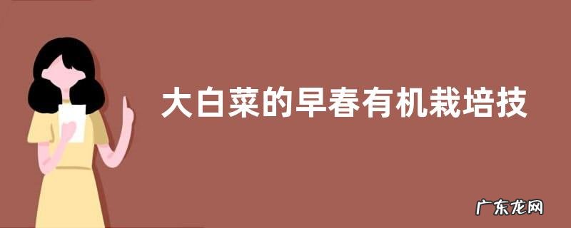 大白菜的早春有机栽培技术重点,怎样进行田间管理