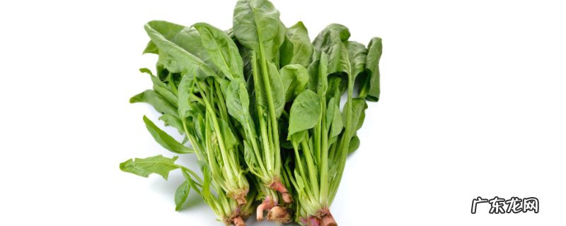 有机蔬菜有什么防治病虫草害的农业措施