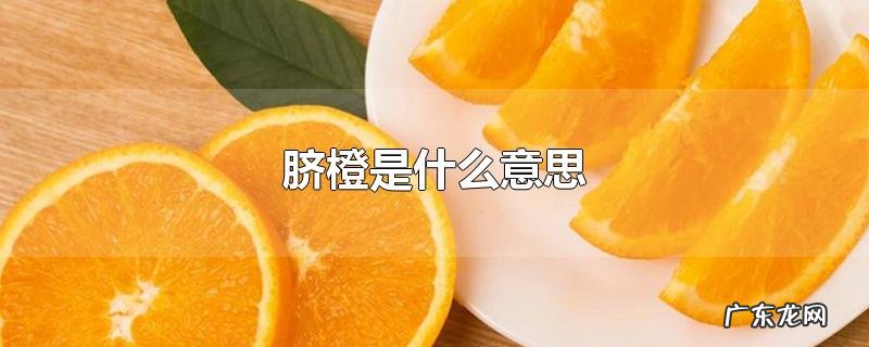 脐橙是什么意思