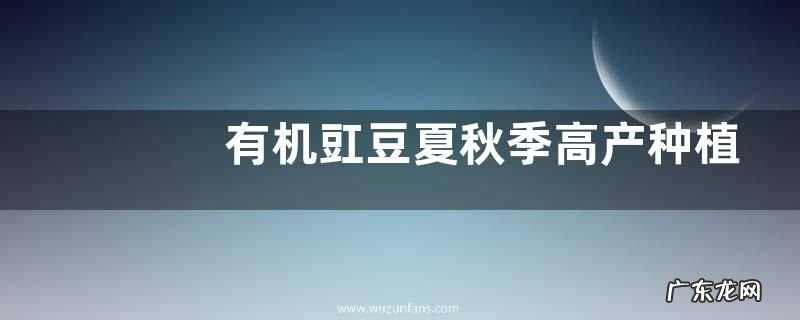 有机豇豆夏秋季高产种植技术,选用什么品种好