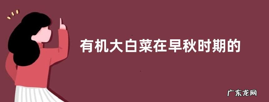 有机大白菜在早秋时期的种植方法