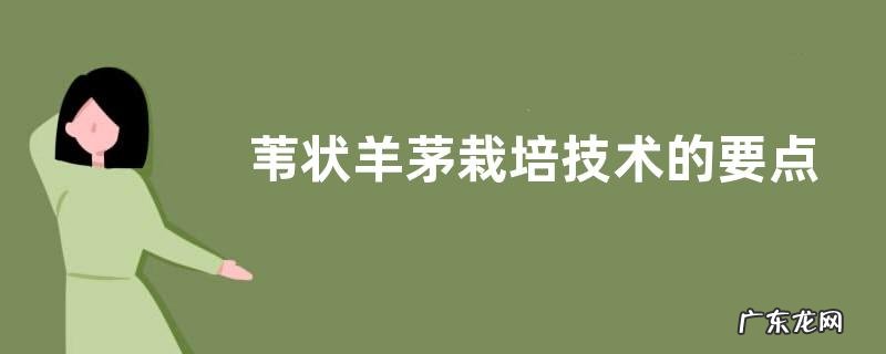 苇状羊茅栽培技术的要点有哪些,有些什么特征