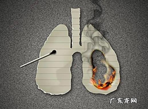 2022年历年世 2022年历年世界无烟日主题都有哪些