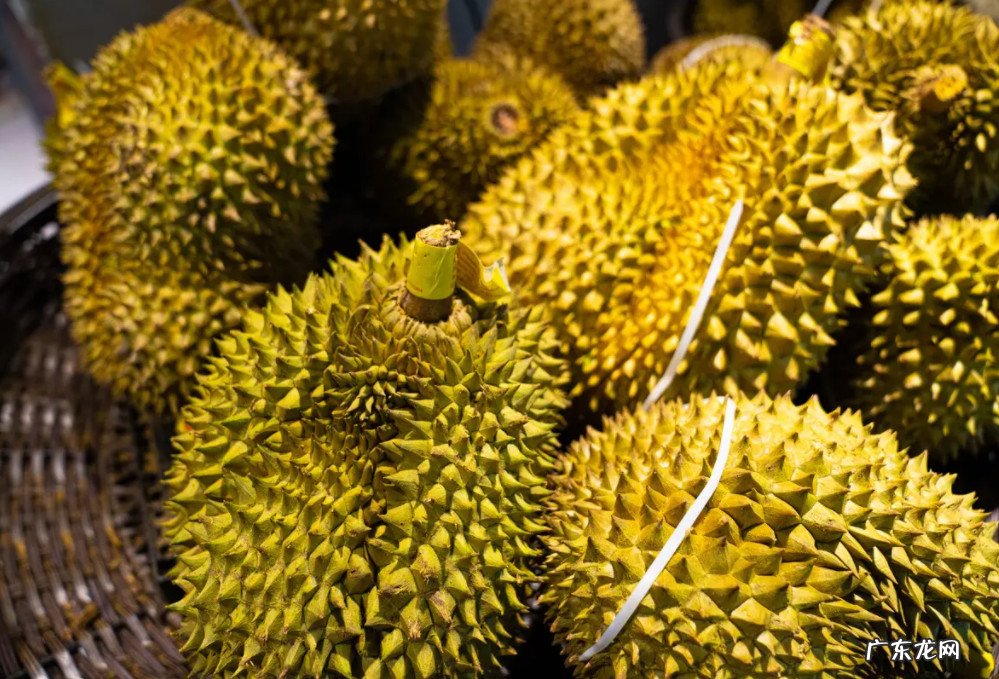 2022年榴莲怎 2022年榴莲怎么这么贵