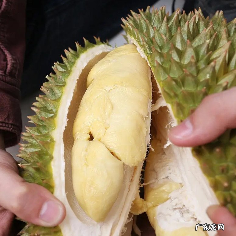 2022年榴莲怎 2022年榴莲怎么这么贵