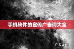 手机软件的宣传广告词大全