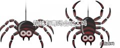 蜘蛛有毒吗会咬人吗