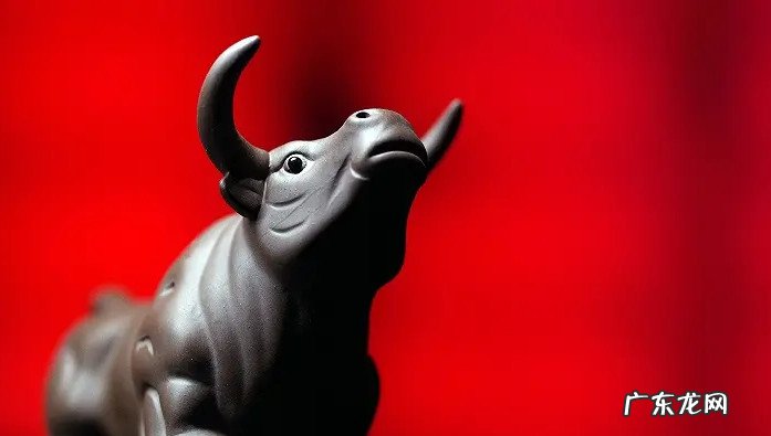2022年会有牛 2022年会有牛市出现吗