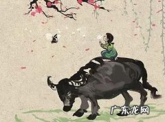 杨公忌日诞生女孩 杨公忌日出生女孩如何化解