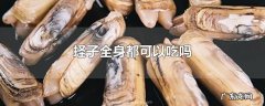 蛏子全身都可以吃吗