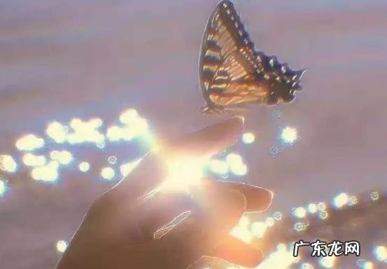 分手后还能挽回的 分手后还能挽回的10个征兆