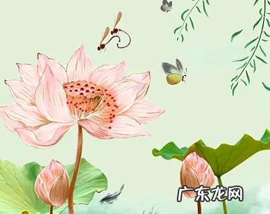 立夏节气吃甚么养 立夏节气吃什么养生粥2022