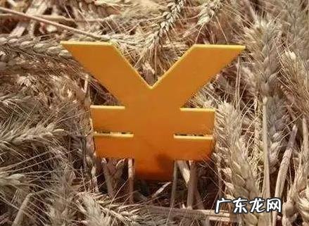2022年食粮补 2022年粮食补贴发放到哪里