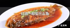 红烧一般买什么鱼