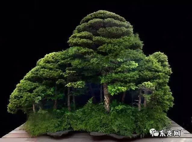 风水飞凤下山形图片 飞龙下山风水地图