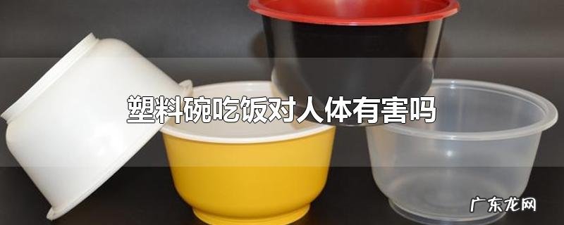 塑料碗吃饭对人体有害吗