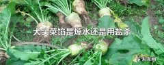 大头菜馅是焯水还是用盐杀