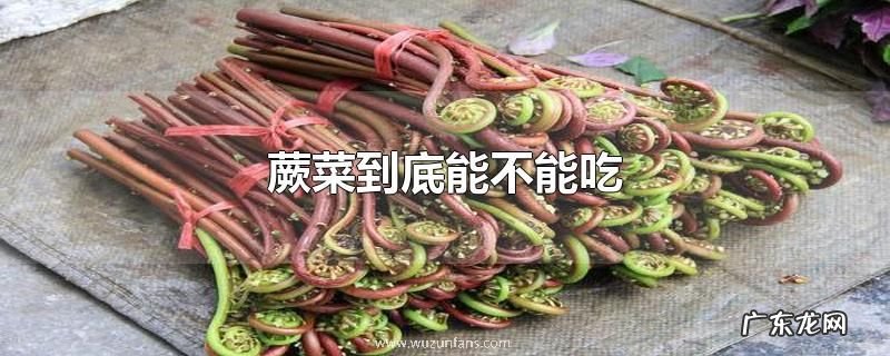 蕨菜到底能不能吃