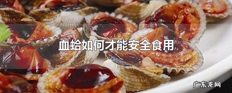 血蛤如何才能安全食用