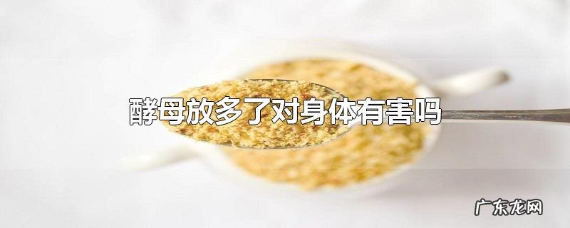 酵母放多了对身体有害吗