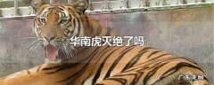 华南虎灭绝了吗