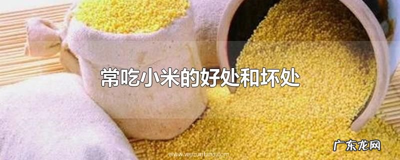 常吃小米的好处和坏处