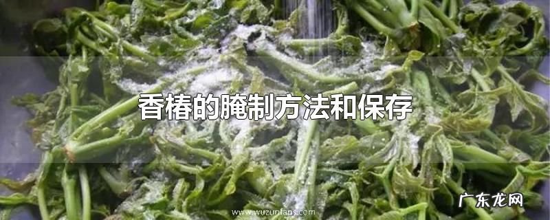 香椿的腌制方法和保存