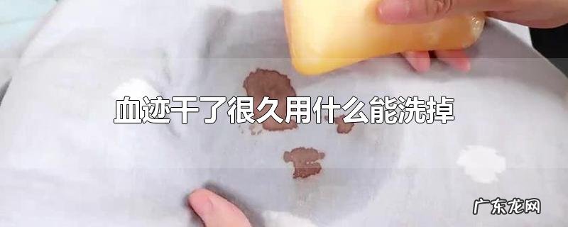 血迹干了很久用什么能洗掉