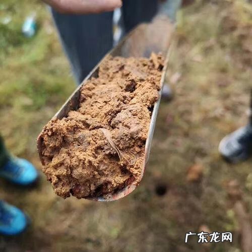 风水学是真的吗,是不是迷信 风水学真的存在吗?